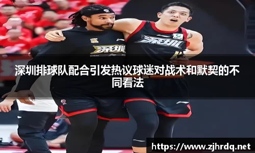 深圳排球队配合引发热议球迷对战术和默契的不同看法
